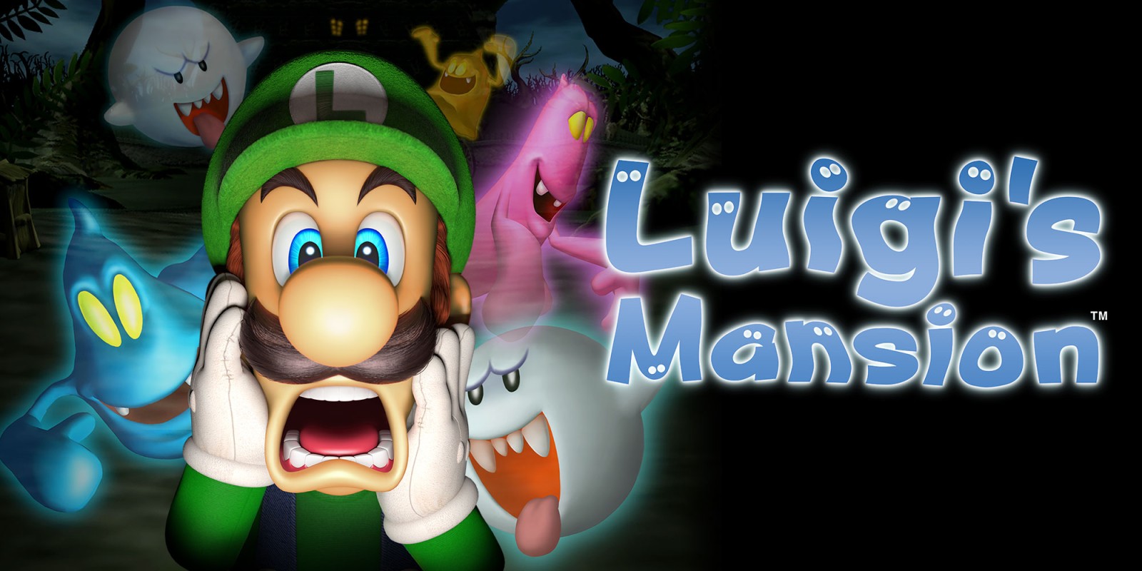 H2x1_3DS_LuigisMansion_image1600w