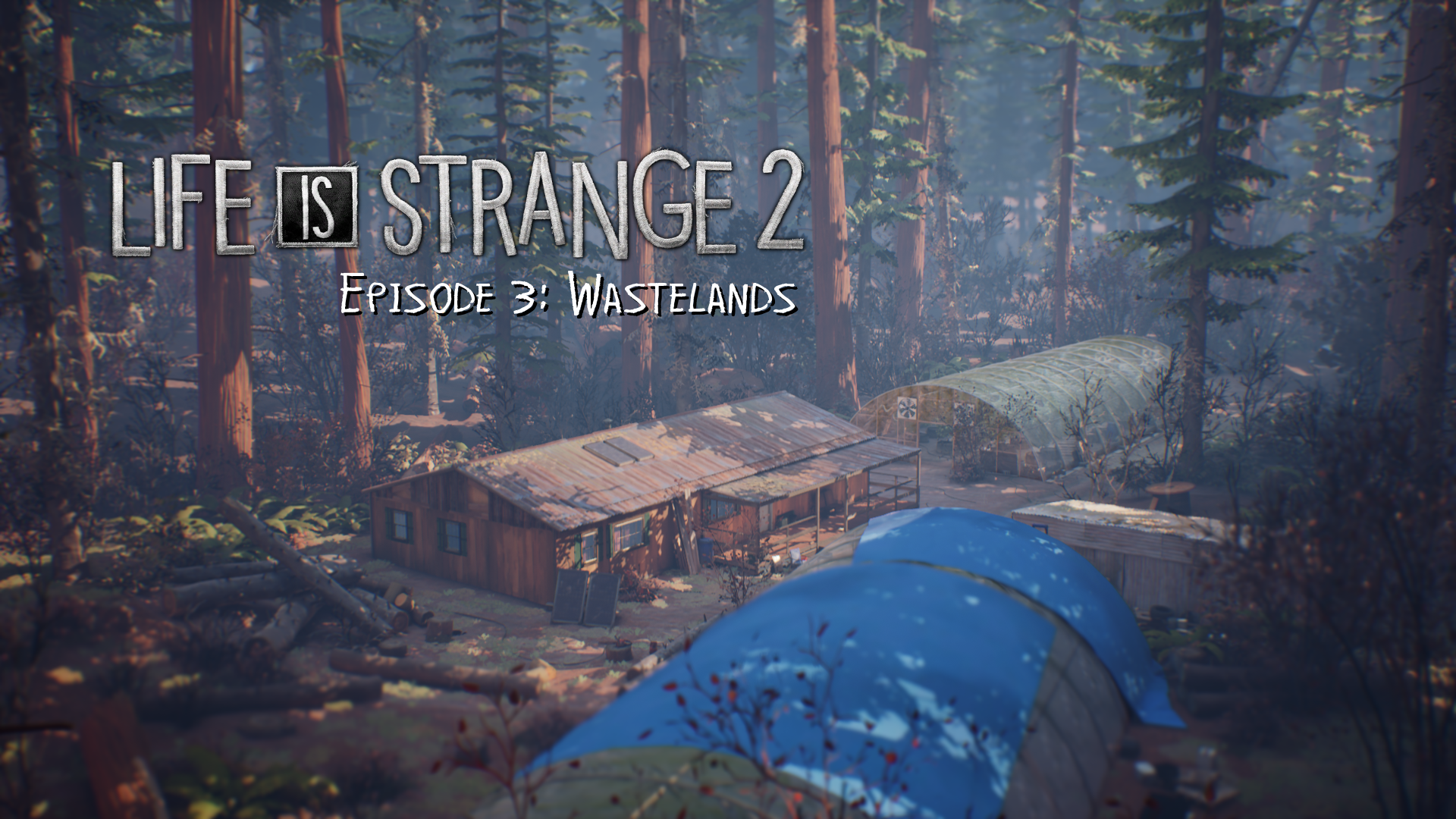 Life is Strange 2_20190510205041